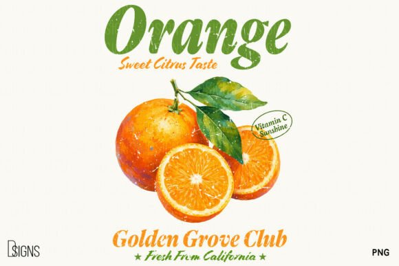 Download Retro Orange Vintage Summer Fruit PNG - Retro Collection